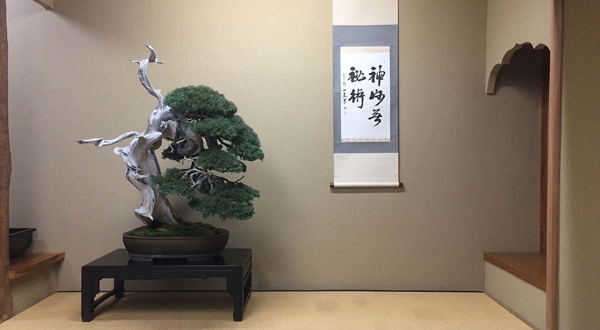 NIIGATA - THE BEAUTY OF JAPAN'S TRADITION | HOKURIKU x TOKYO (JAPAN)