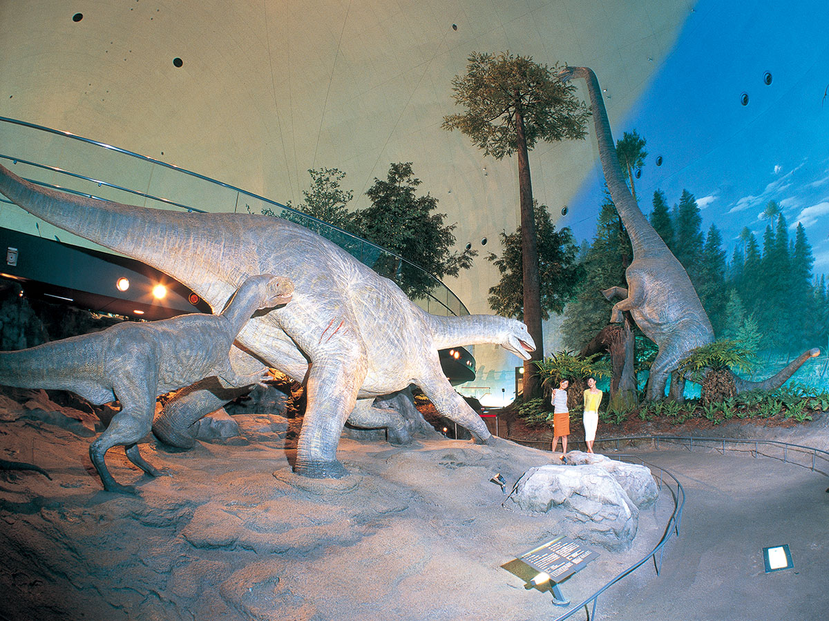 Fukui Prefectural Dinosaur Museum