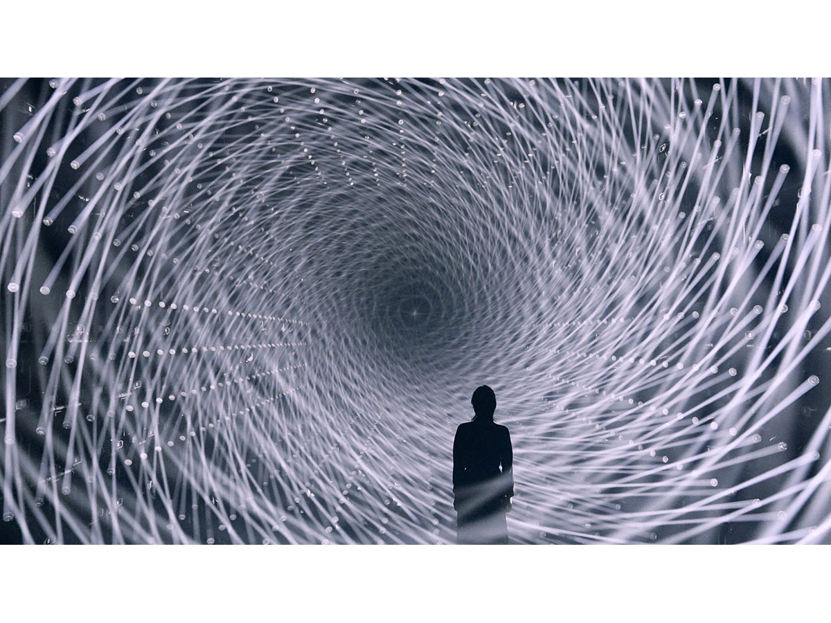 teamLab Borderless: MORI Building DIGITAL ART MUSEUM